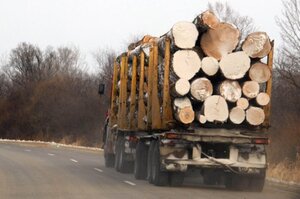 На Львівщині судитимуть службовця лісогосподарського підприємства  за завдані державі збитки на суму понад 220 тис. грн.