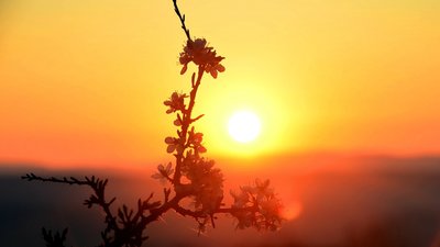 Якою буде погода у Львові та області завтра, 8 серпня