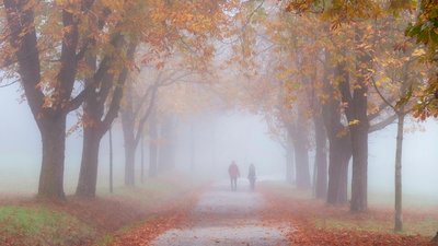 Якою буде погода у Львові та області завтра, 16 жовтня