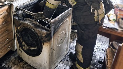 У Львові через пожежу пральної машини загинули троє котів