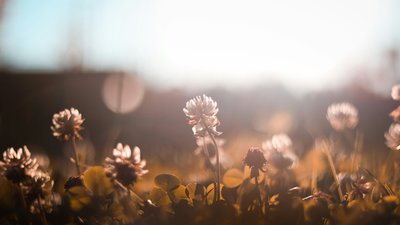 Якою буде погода у Львові та області завтра, 6 липня