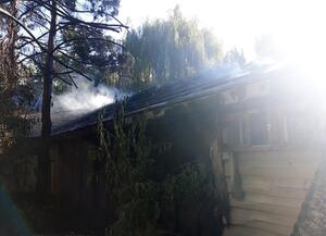 У Черкасах горів міський зоопарк: загинув щонаймеше один птах (ФОТО)