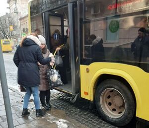 Затиснув руку й показав середній палець: водій маршрутки змусив пасажирку бігти за автобусом (фото)