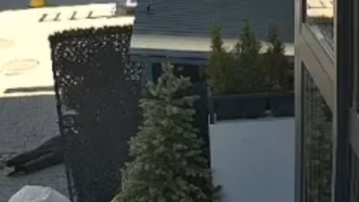 У Львові зловмисник побив 75-річного чоловіка (ВІДЕО)