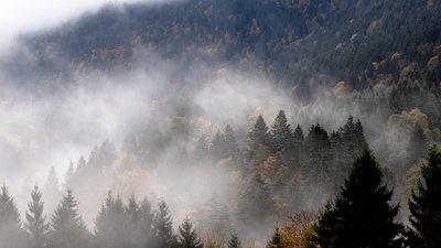 Якою буде погода у Львові та області завтра, 8 грудня