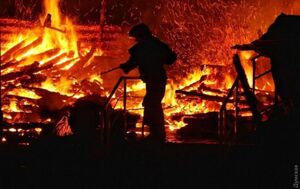 Майже п’ять годин гасили масштабну пожежу на Рівненщині (відео)