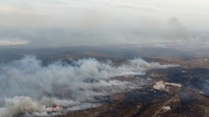 Поблизу прикордонного села на Рівненщині сталася масштабна пожежа: відео (ФОТО, ВІДЕО)