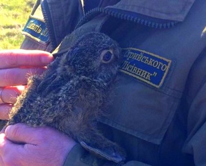 На Львівщині за вихідні паліїв сухої трави оштрафовано на суму понад 26 000 грн (фото)