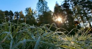 Укргідрометцентр попередив про заморозки