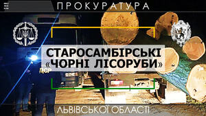 Прокуратура Львівщини оголосила підозри злочинній групі, яка здійснювала вирубку лісу