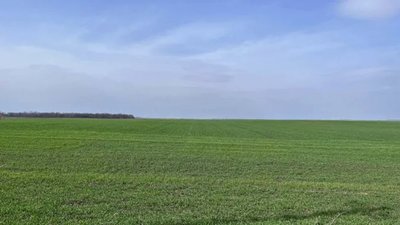 Суд повернув громаді майже 3,5 га землі у Брюховичах, виділеної нібито для реабілітаційного центру