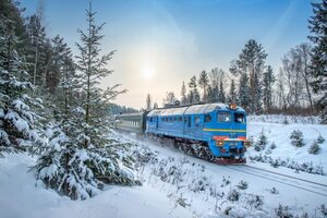 Поліцейські встановили особу загиблого під потягом в Пустомитівському районі