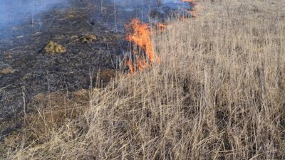 На Львівщині уламки російського безпілотника спричинили пожежу сухостою