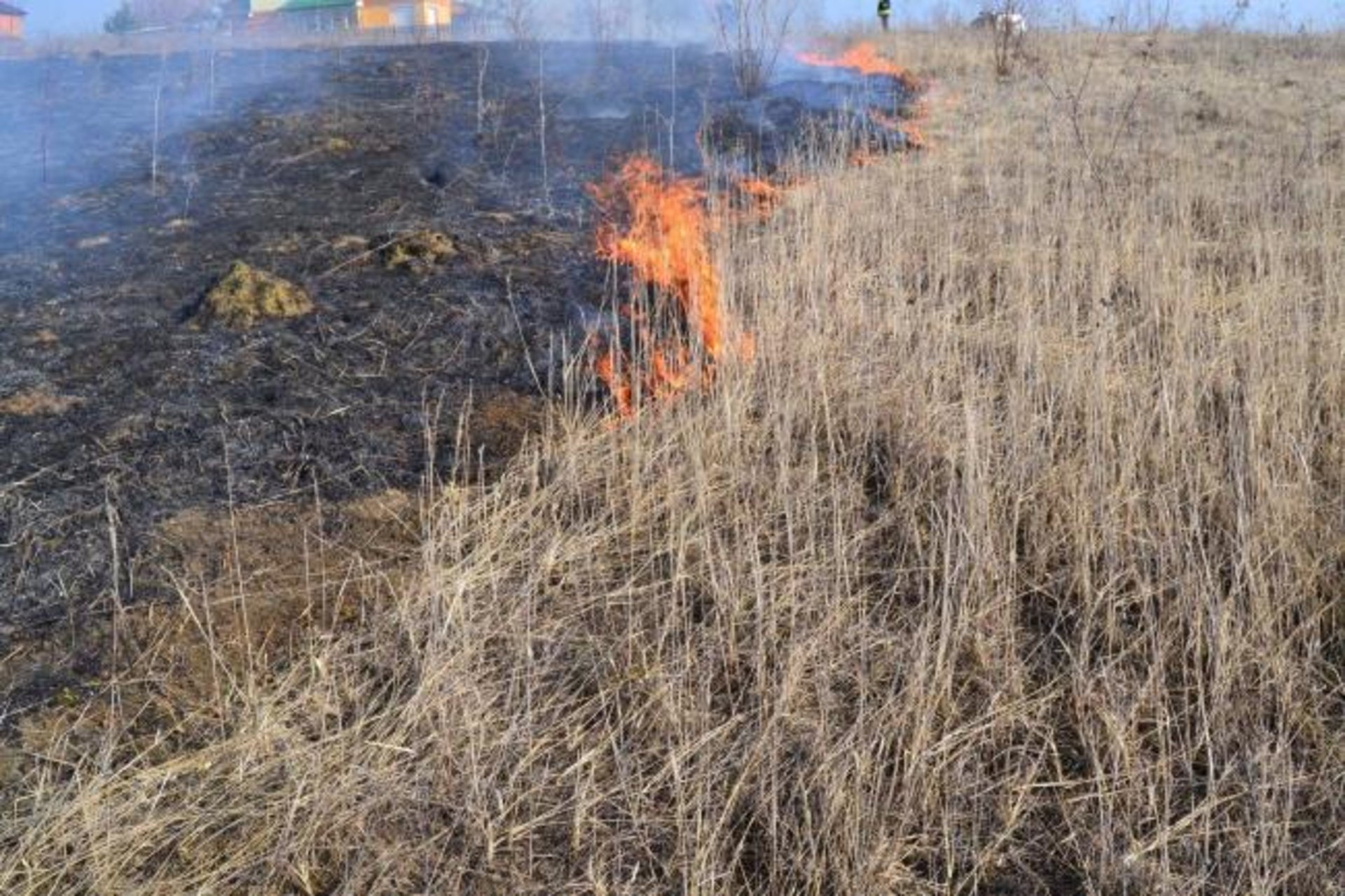 На Львівщині уламки російського безпілотника спричинили пожежу сухостою