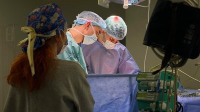 Львівські медики від посмертного донора пересадили органи чотирьом пацієнтам