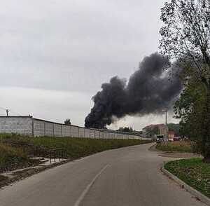 У Львові сталася пожежа у 5-му парку (фото, відео)