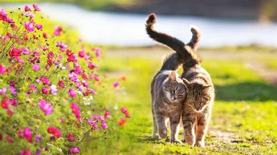 Якою буде погода у Львові та області завтра, 29 квітня