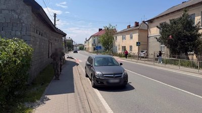 У Львівській області 18-річний водій збив електровелосипедиста