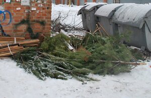 У Львові запрацювали мобільні пункти утилізації ялинок (ЛОКАЦІЇ)