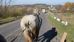 На Львівщині розслідують обставини загибелі фірмана