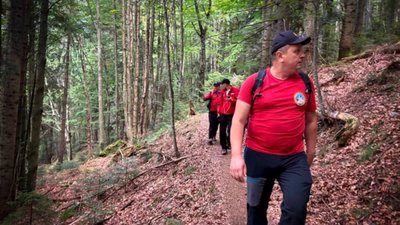 На Закарпатті в горах загинув турист