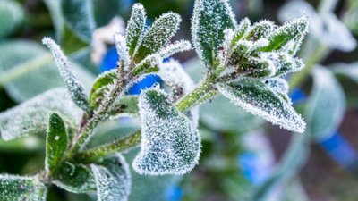 Яким буде день у Львові та області завтра, 17 травня