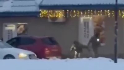 Біля Львова стался стрілянина (ОНОВЛЕНО)