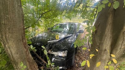 На Стрийщині в ДТП травмовано троє дітей: серед потерпілих - новонароджена дитина