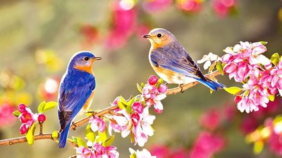 Якою буде погода у Львові та області завтра, 27 квітня