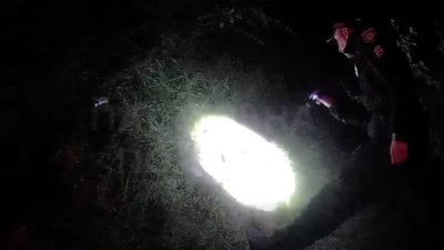 Зламав ногу в лісі: на Львівщині поліцейські та рятувальники провели нічну пошукову операцію