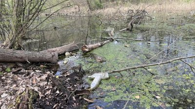 Правоохоронці знайшли зброю, з якої у Львові ймовірно вбили нардепа Андрія Парубія