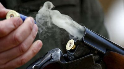 На Одещині чоловік з рушниці застрелив собаку