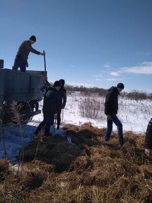 Педагоги разом з учнями врятували близько двохсот лелек (ФОТО)