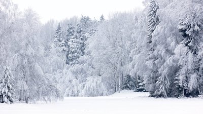 Якою буде погода у Львові та області завтра, 17 лютого