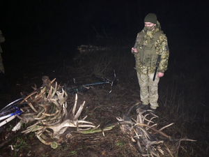 У Чорнобильській зоні виявили 3 осіб, які збирали роги диких тварин