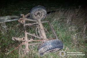 Фото: Поліція Рівненської області. Перекинута гужова підвода після ДТП.