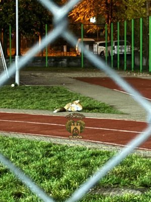 Фото: Telegram-канал «Так люблю той Львів». Лисиця лежить на траві біля бігових доріжок на території навчального закладу.