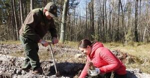 «Озеленення планети»: на Львівщині висадили 120 га лісу