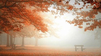 Якою буде погода у Львові та області завтра, 29 листопада