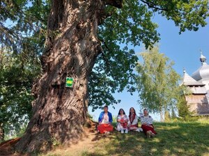 Величезний дуб із Львівщини претендує на титул Європейського дерева року