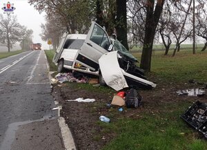 Подробиці трагедії: у ДТП в Польщі загинули українки з дитиною (ФОТО)