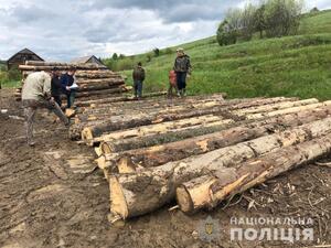 На Львівщині виявили незаконно вирубані дерева