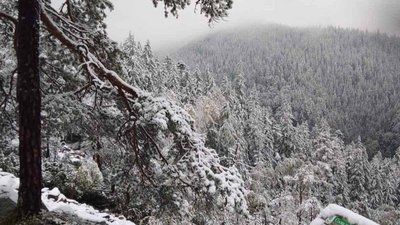 У ДСНС попередили про погіршення погодних умов на території України у наступні дві доби