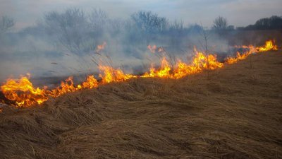 На Львівщині за добу зафіксовано 21 пожежа сухої трави