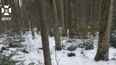 Біля кордону з Румунією прикордонники виявили тіло чоловіка