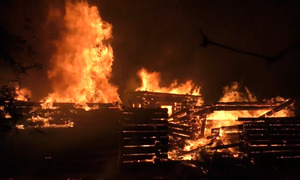 Опубліковано відео пожежі у Шевченківському гаю