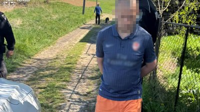 Житель Львівщини вбив маму через кошенят