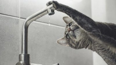 У Львові через прорив на водогоні частина містян залишалася без води