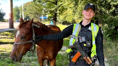 У Львові патрульні повернули власнику коня, який бігав трасою