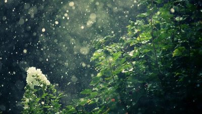 Якою буде погода у Львові та області завтра, 10 липня